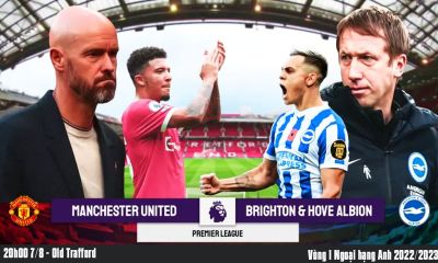 Xem trực tiếp bóng đá MU vs Brighton ở đâu, kênh nào? Link xem trực tiếp MU vs Brighton Full HD