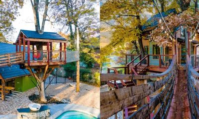 Ngôi nhà gỗ hình cái cây độc đáo ở Bali