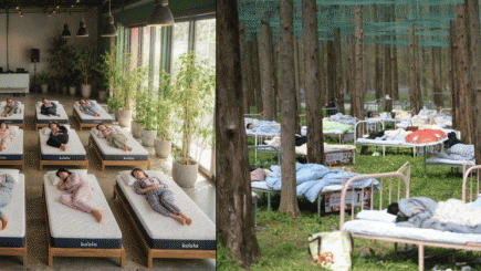 Top những cuộc thi ngủ độc nhất thế giới: Giải thưởng hơn 350 triệu, ngáy to cũng được cộng điểm