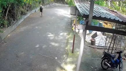 Đã tìm thấy người đàn ông mất tích khi đi leo núi ở Vũng Tàu, rất tiếc không có phép màu nào xảy ra