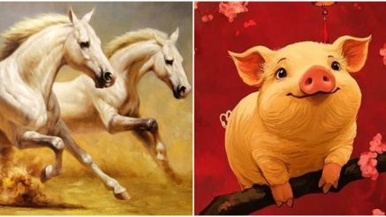 Từ ngày 16/11, 4 con giáp sau đây sẽ đón phước lành, bắt đầu cuộc sống vô lo về tiền bạc