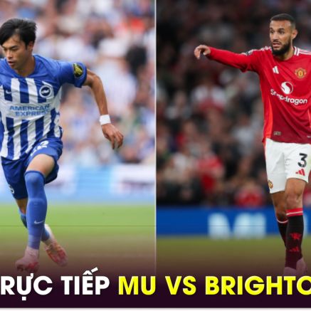 Trực tiếp bóng đá Brighton vs MU, 18h30 ngày 24/8 - Link xem trực tiếp Ngoại hạng Anh FULL HD