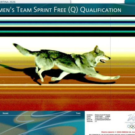 'Chó sói' lao vào đường đua Olympic mùa đông 2026 rượt đuổi VĐV, cán đích khiến CĐV phấn khích