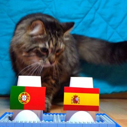 Dự đoán kết quả Bồ Đào Nha vs Tây Ban Nha - World Cup 2026: Mèo tiên tri khiến Ronaldo mừng thầm