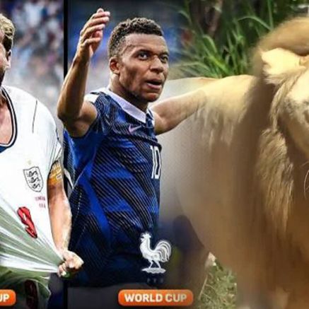 Dự đoán kết quả Pháp vs Anh, 4h ngày 19/7 - Tranh hạng 3 World Cup 2026: Sư tử 'tiên tri' gây sốt
