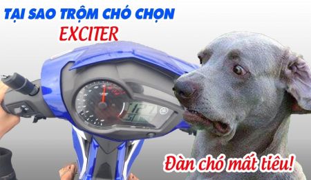 Khi nghe Exciter 150 trộm chó có lẽ bạn thấy khá shock, nhưng khi xem ảnh này bạn sẽ phải thốt lên \