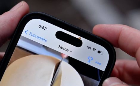 Huớng dẫn 'nuôi thú' siêu đáng yêu trên Dynamic Island của iPhone 14 Pro và 14 Pro Max
