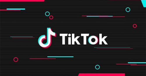 Tool to download videos without Tiktok logo for free