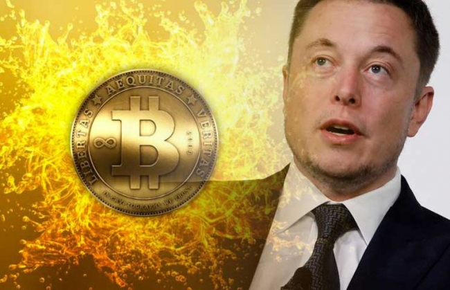 Vừa chạm ngưỡng 55.000 USD, Musk nhận định giá Bitcoin có vẻ hơi cao, liệu bong bóng có vỡ vụn?