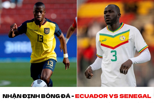 Nhận định bóng đá Ecuador vs Senegal - Bảng A World Cup 2022: Cân tài cân sức