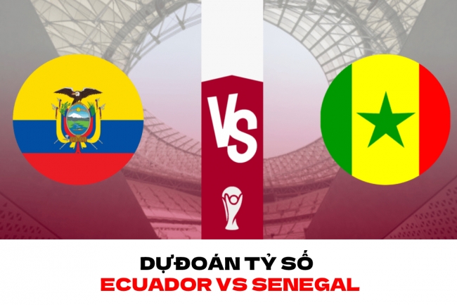 Dự đoán tỷ số Ecuador vs Senegal - Bảng A World Cup 2022: Khan hiếm bàn thắng?