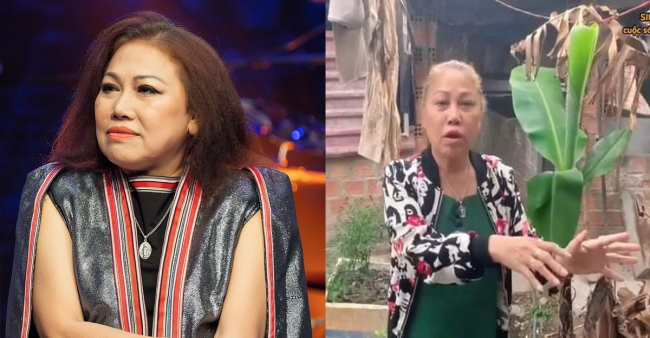 Bất ngờ trước loạt hình ảnh Siu Black vất vả nuôi heo, làm nước mắm
