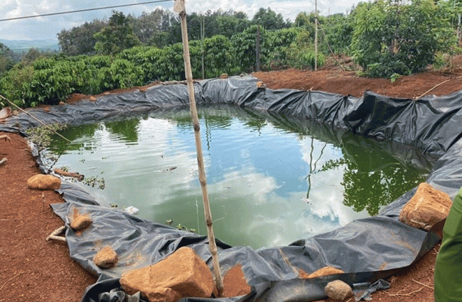 Đắc Nông: Nhảy xuống hồ tưới cứu cháu, người phụ nữ 60 tuổi và cháu trai 5 tuổi tử vong tại chỗ