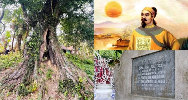 Cây thị lịch sử từng ‘cứu mạng vua Lê Lợi’, 700 năm tuổi vẫn khiến người dân kinh ngạc vì 1 điều