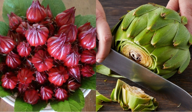 Loại thảo dược quý của Việt Nam có công dụng cực tốt, được Tổ chức Kỷ lục châu Á công nhận