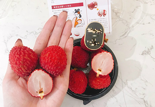 5 triệu đồng một kg vải không hạt Nhật về Việt Nam