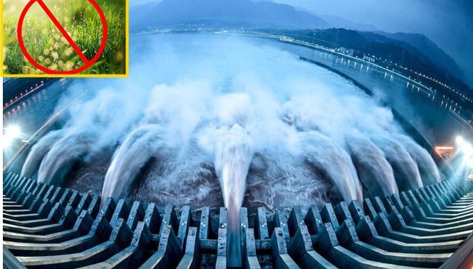 Siêu đập Tam điệp ‘run rẩy’ trước mối đe dọa từ cỏ dại: Trung Quốc trả giá cho sự tham lam