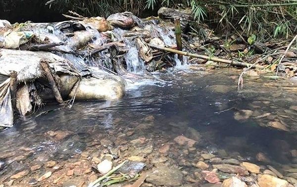 Công ty nước sạch Sông Đà lên tiếng xin lỗi và hứa bồi thường sau sự cố ô nhiễm nguồn nước