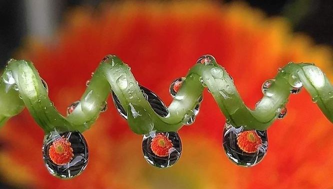 CEO Nguyễn Tử Quảng: Bphone 4 sẽ sử dụng nhiếp ảnh điện toán