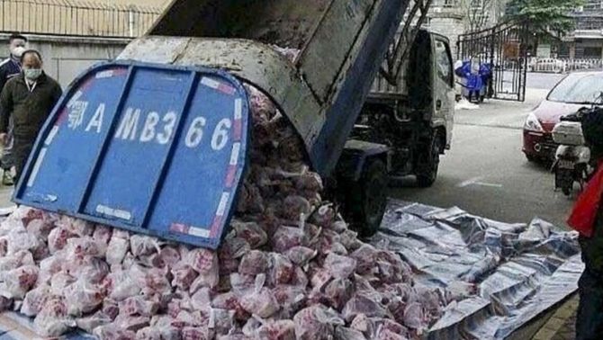 Dùng xe rác chở thịt cho dân, hàng loạt quan chức bị sa thải và điều tra ở Vũ Hán