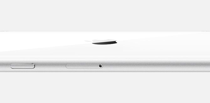 Apple âm thầm ra mắt iPhone SE 2020: CPU A13 Bionic, 1 camera giá từ 9.2 triệu