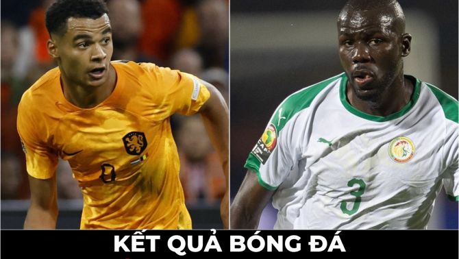 Kết quả bóng đá Hà Lan 2 - 0 Senegal, World Cup 2022: 'Mục tiêu tối thượng' của MU hóa người hùng