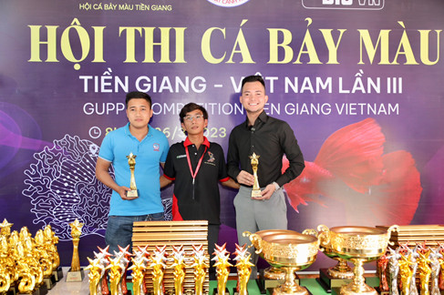 Hành trình kiếm tiền tỷ nhờ công việc nuôi 'Cá Bảy màu' của chàng trai 9X