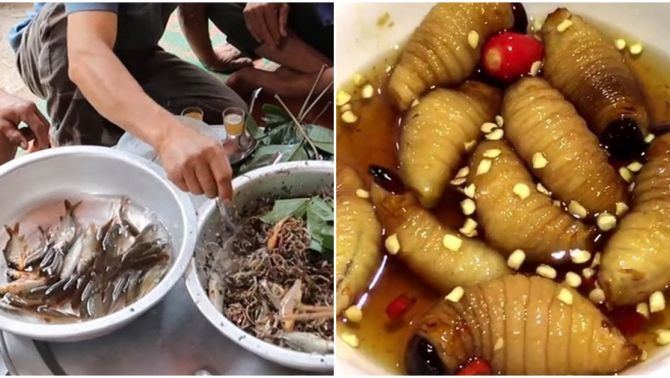 Những món ăn sống kinh dị nhất Việt Nam, có những món chỉ nghe tên thôi cũng đã thấy sợ