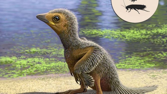 Phát hiện con quái điểu 99 triệu năm tuổi lần đầu tiên trên thế giới