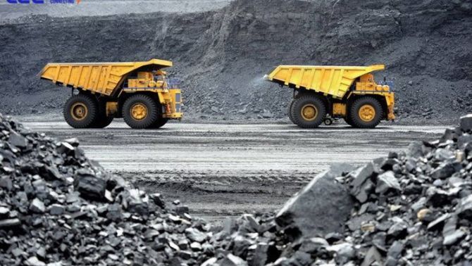1 quốc gia châu Âu đẩy mạnh nhập khẩu ‘vàng đen’ của Việt Nam, tăng hơn  21.000% chỉ trong nửa năm