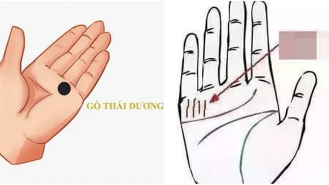 4 đặc điểm ở lòng bàn tay báo hiệu vận số giàu sang suốt đời, tài lộc hanh thông, đặc biệt là số 2