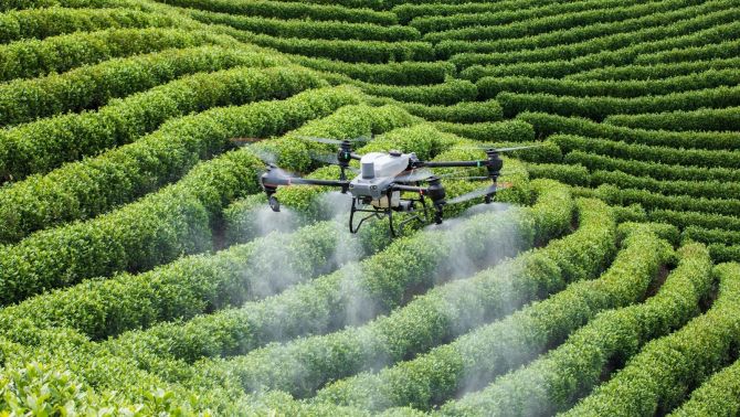 Chuyên gia máy bay nông nghiệp tại AgriDrone nói gì về siêu phẩm T50 sắp ra mắt?