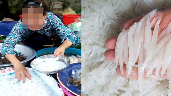 Loài cá mỗi năm chỉ xuất hiện 1 lần duy nhất, người dân tranh nhau mua dù giá cao ngất ngưởng