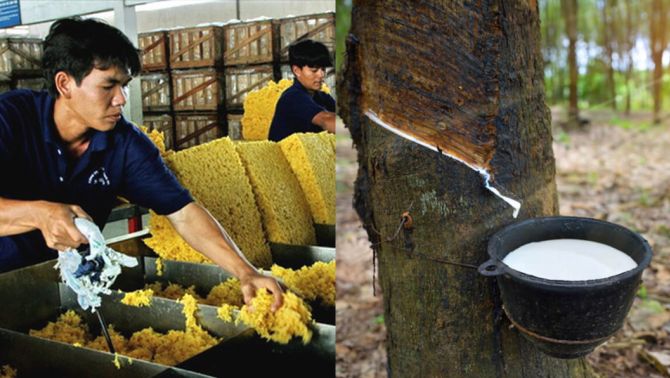 Một mặt hàng của Việt Nam xuất khẩu đứng thứ 3 thế giới, được Trung Quốc thu mua mạnh tay