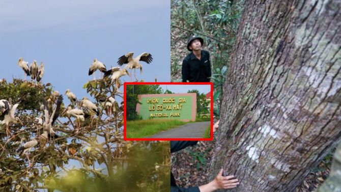 Vườn di sản ASEAN duy nhất ở Đông Nam Bộ Việt Nam:Có nhiều loại thú quý hiếm trong sách đỏ thế giới