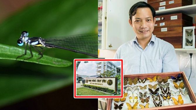 Vị Tiến sĩ Việt Nam phát hiện ra loại động vật mới cho thế giới: Chỉ có ở nước ta, đặt tên theo 1 trường ĐH ở Đà Nẵng