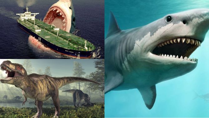 Bí ẩn về quái thú cổ đại Megalodon thống trị đại dương, khủng long cũng chỉ cúi đầu làm ‘đàn em’