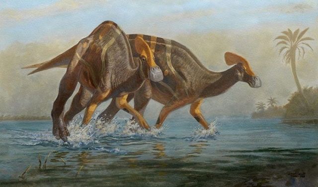 Phát hiện hóa thạch của loài khủng long đã tuyệt chủng 72 triệu năm: Biết ‘nói chuyện’ giống voi ngày nay
