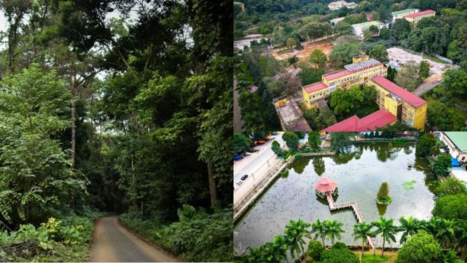 Trường đại học duy nhất ở Việt Nam có rừng trong khuôn viên: Rộng gấp 6 lần ĐH Bách Khoa, gần bằng 1 quốc gia