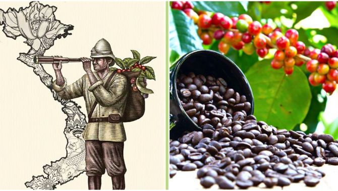 Ai là người mang cây cà phê đầu tiên về Việt Nam?