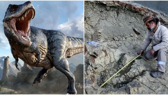Cận cảnh dấu chân khủng long khổng lồ từ hàng trăm triệu năm trước dưới lòng sông