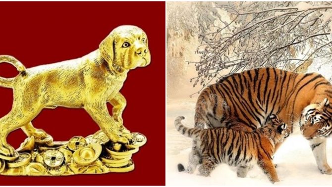 3 con giáp có đầu óc kiếm tiền tốt nhất, sự nghiệp thăng tiến, tình yêu ngày càng thăng hoa