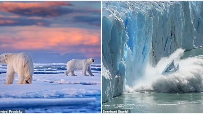 Bắc Cực có thể gần như không còn băng sau 10 năm tới, Trái Đất sẽ hứng chịu những đợt nắng nóng tàn phá