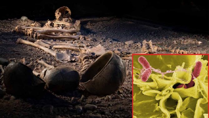 Bệnh do vi khuẩn - 'Án tử' của con người sống trong thời kì đồ đá