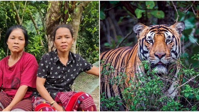 Người dân hoang mang khi phát hiện hổ ra suối uống nước ở rừng Đìu Đo Quảng Bình