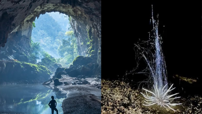 Phong Nha - Kẻ Bàng: Phát hiện loài sinh vật có bề ngoài kì lạ chưa từng được nhìn thấy trước đây