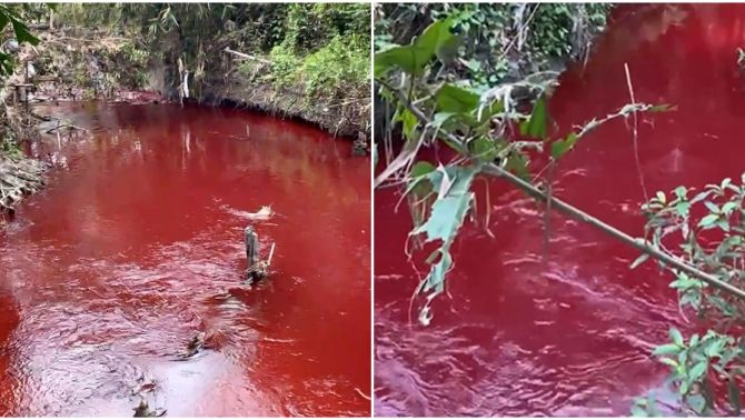 Nguyên nhân con suối ở Bình Phước đổi màu đỏ như máu, chính quyền phong tỏa khẩn cấp