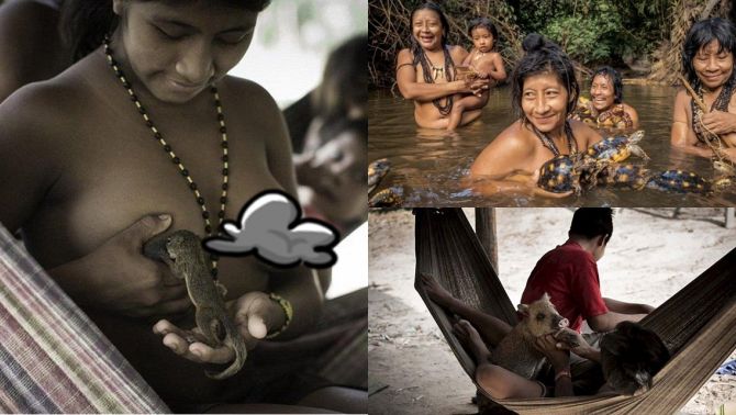 Bí ẩn bộ tộc cho động vật hoang dã bú sữa như em bé, có nguy cơ tuyệt chủng cao nhất hành tinh