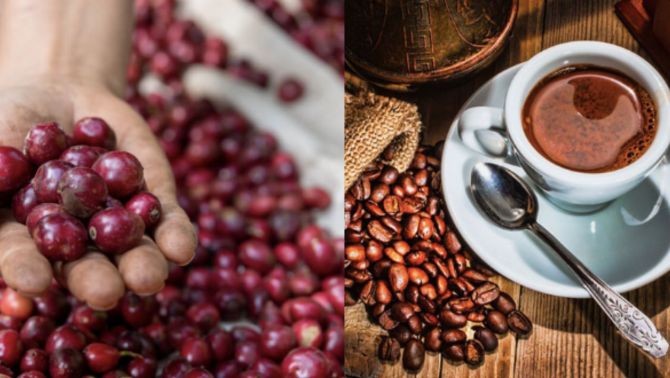 Giá cà phê hôm nay 3/1: Giá cà phê tăng nóng, ‘cơn sốt’ giá cà phê chính thức quay trở lại?