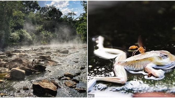 Bí ẩn về ‘dòng sông cháy’ có khả năng luộc chín bất cứ thứ gì rơi vào